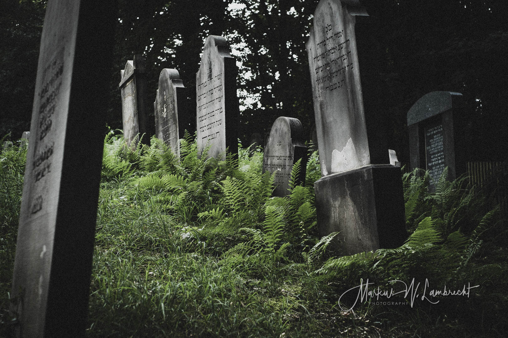 Landkreis Schaumburg